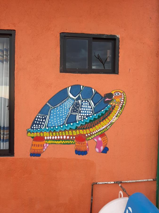 شقة Casa Xochimilco Oaxaca المظهر الخارجي الصورة